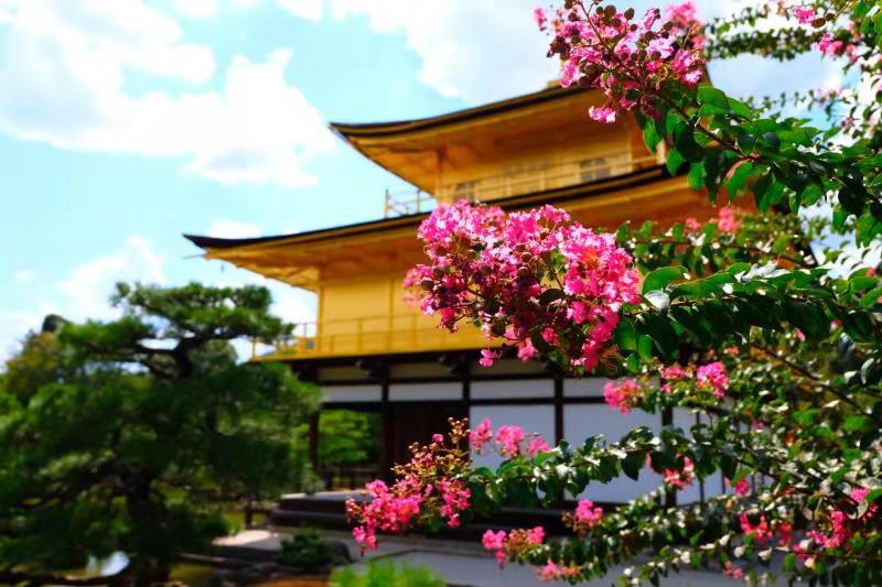 金阁寺掠影2
