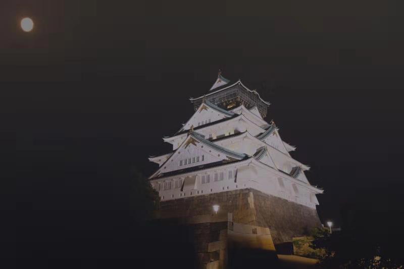 夜访大阪城2